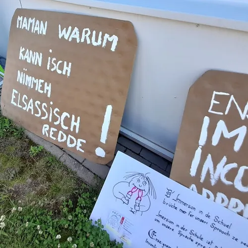 Défense des langues régionales : les partisans de l'immersif ont...